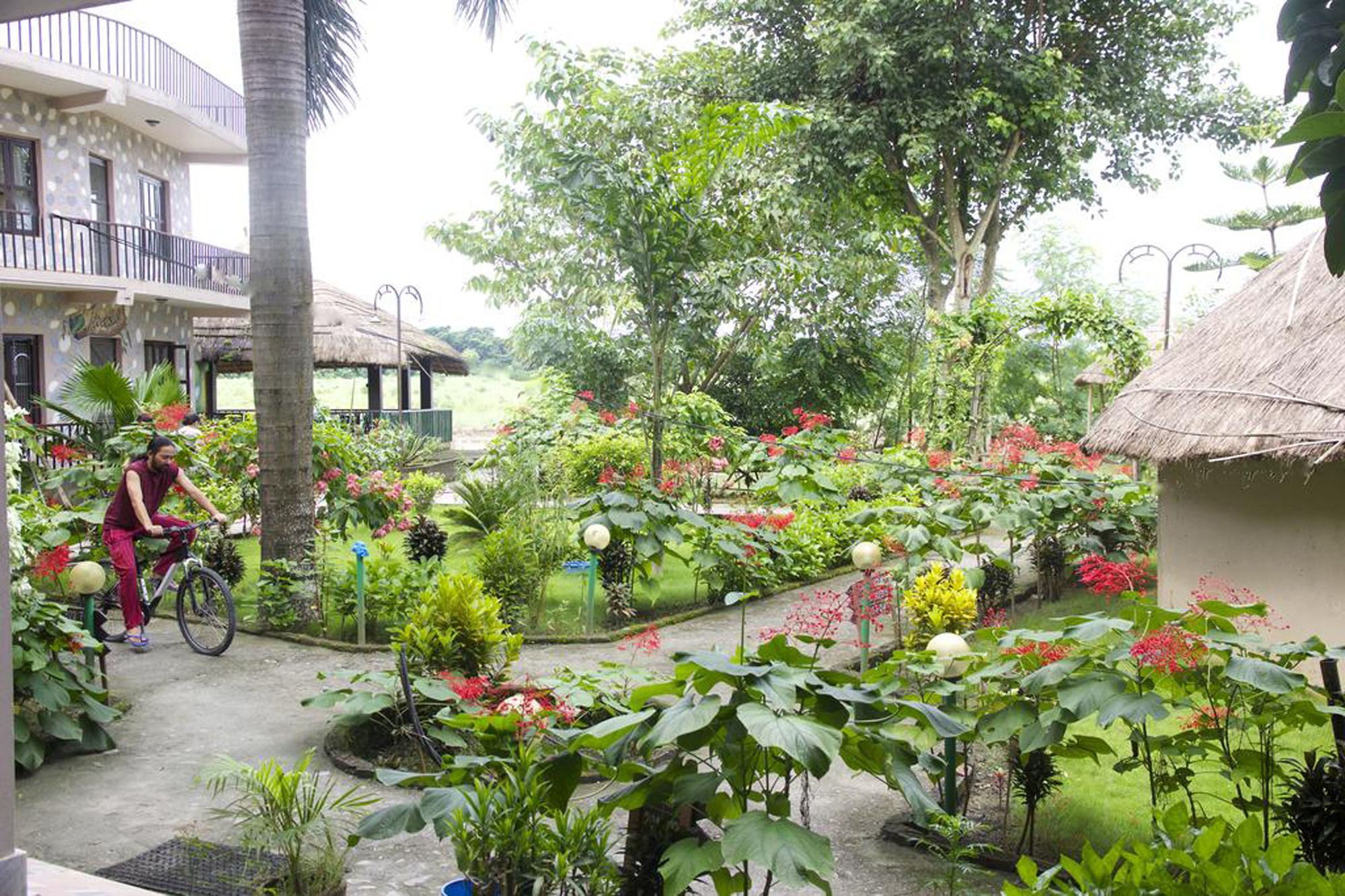Jungle Sunset Camp Hotel Sauraha Buitenkant foto