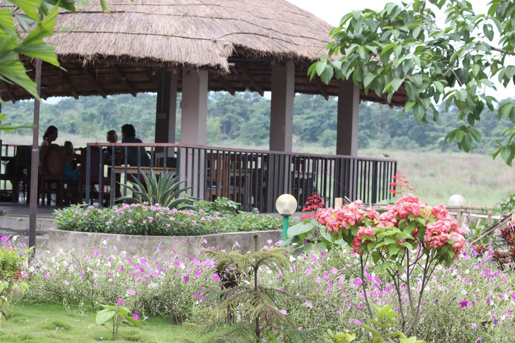Jungle Sunset Camp Hotel Sauraha Buitenkant foto